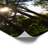 Dry Land Bridge Overlook, Kentucky Poster (Hoek)