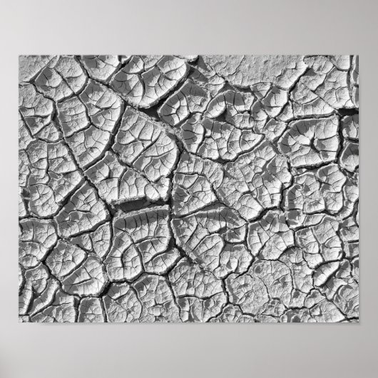 Dry Mud Flat Poster (Voorkant)