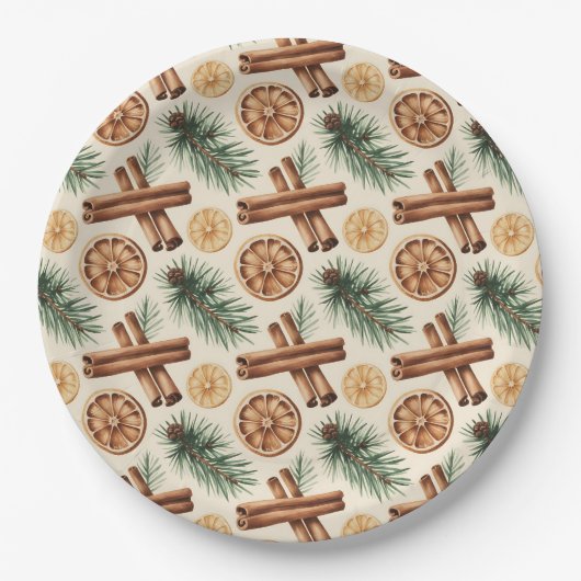 Dry Oranges Cinnamon Sticks Fir Branches Papieren Bordje (Voorkant)
