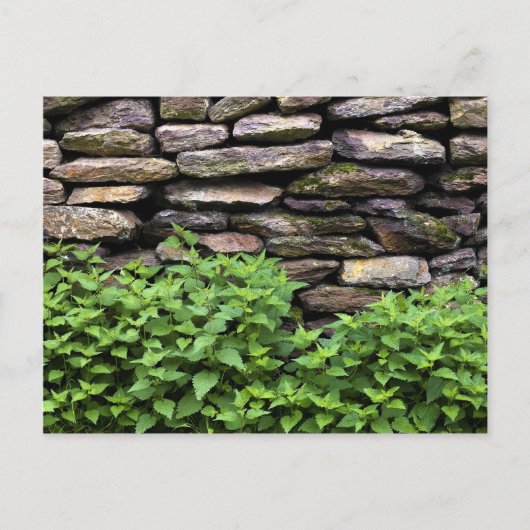 Dry Stone wall Briefkaart (Voorkant)