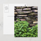 Dry Stone wall Briefkaart (Voorkant / Achterkant)