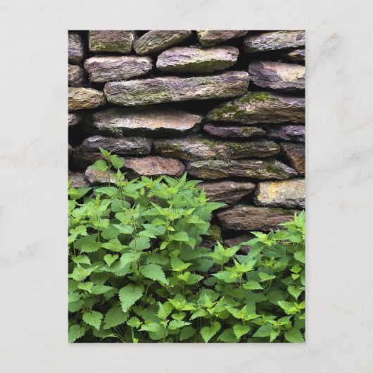 Dry Stone wall Briefkaart (Voorkant)