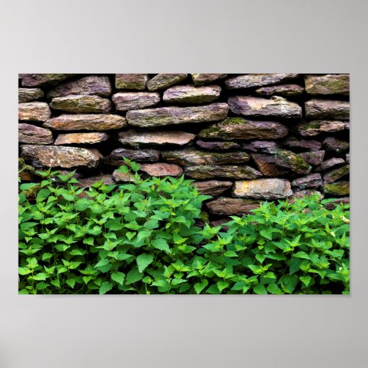 Dry Stone wall Poster (Voorkant)