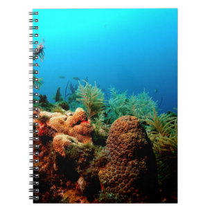 Dry Tortugas National Park, Coral Reef, Florida Notitieboek