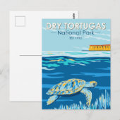 Dry Tortugas National Park Turtle  Briefkaart (Voorkant / Achterkant)