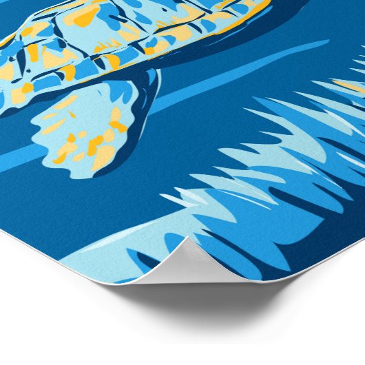 Dry Tortugas National Park Turtle  Poster (Hoek)