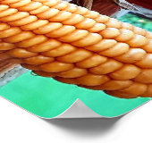 Dry Whole Ear Corn with Husks Poster (Hoek)