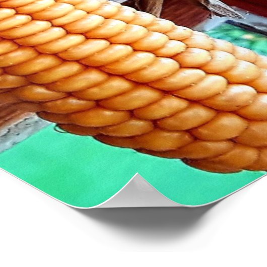 Dry Whole Ear Corn with Husks Poster (Hoek)
