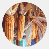 Dry Whole Ear Corn with Husks Ronde Sticker (Voorkant)