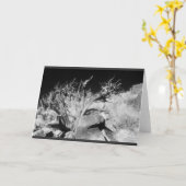Dry wood landscape kaart (Gele Bloem)