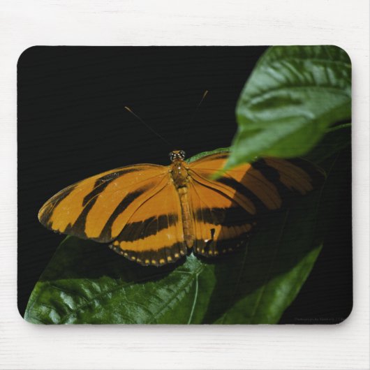 Dryad Mousepad Muismat (Voorkant)