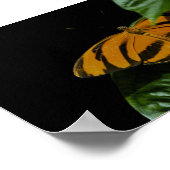 Dryad Print (Hoek)