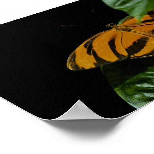 Dryad Print (Hoek)