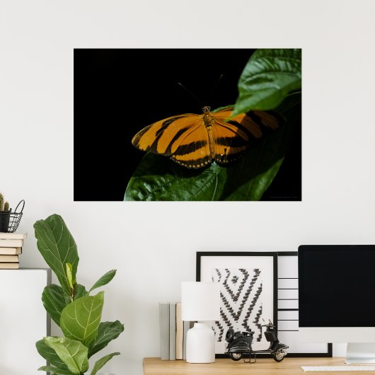 Dryad Print (Thuiskantoor)