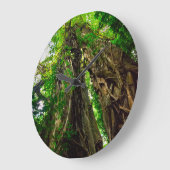 Dryad Strangler-vijgenstructuur Grote Klok (Hoek)