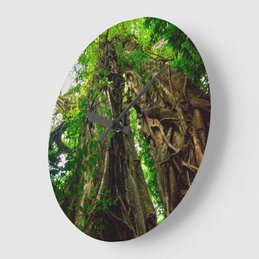 Dryad Strangler-vijgenstructuur Grote Klok (Hoek)