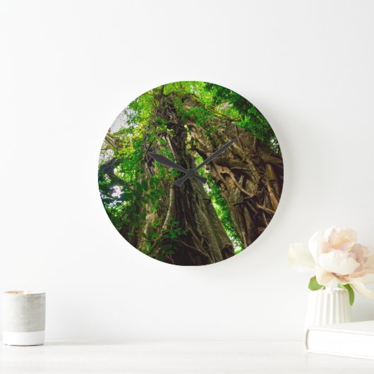 Dryad Strangler-vijgenstructuur Grote Klok (Huis)