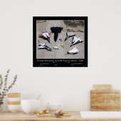 Dryden Research Vliegtuig Fleet on the Ramp - 1997 Poster (Keuken)