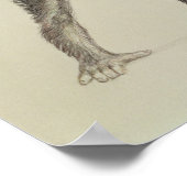 Dryopithecus Afrianus Poster (Hoek)