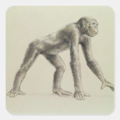 Dryopithecus Afrianus Vierkante Sticker (Voorkant)