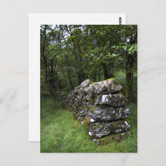 Drystone Wall Briefkaart (Voorkant / Achterkant)