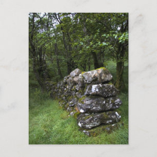 Drystone Wall Briefkaart