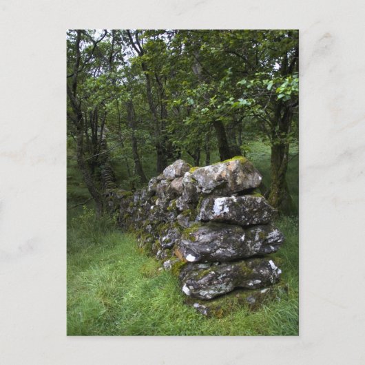 Drystone Wall Briefkaart (Voorkant)