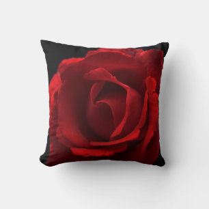 DS Red Rose of Chrysanthemum tpm Kussen