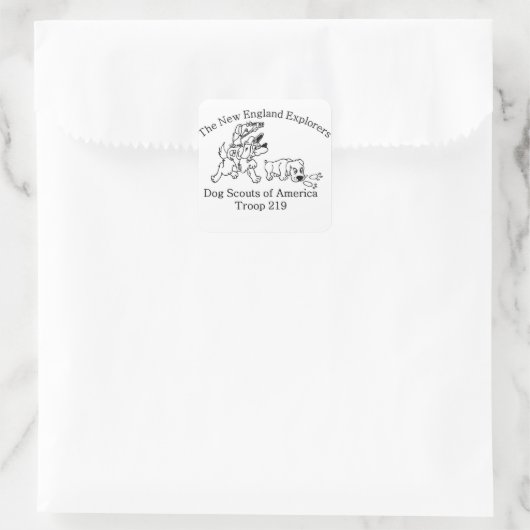 DSA Troop 219 stickers (Tas)