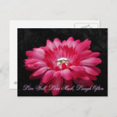 DSC00005 (2), Live Well, Love Much, Laugh Vaak Briefkaart (Voorkant / Achterkant)