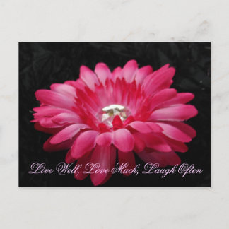 DSC00005 (2), Live Well, Love Much, Laugh Vaak Briefkaart