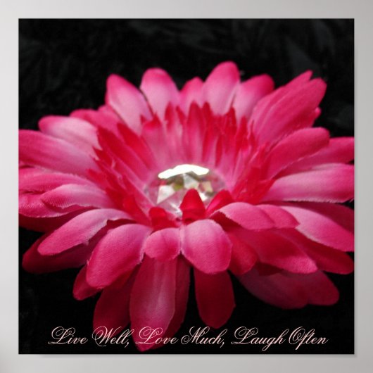 DSC00005 (2), Live Well, Love Much, Laugh Vaak Poster (Voorkant)