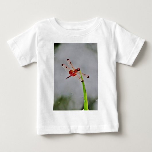 DSC00029.JPG (Voorkant)