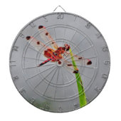 DSC00029.JPG DARTBORD (Voorkant)