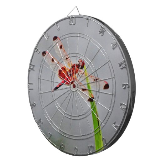 DSC00029.JPG DARTBORD (Voorkant Rechts)