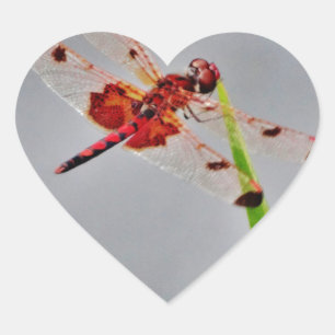 DSC00029.JPG HART STICKER