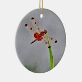 DSC00029.JPG KERAMISCH ORNAMENT (Rechts)