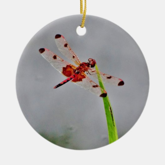 DSC00029.JPG KERAMISCH ORNAMENT (Voorkant)