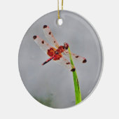 DSC00029.JPG KERAMISCH ORNAMENT (Links)