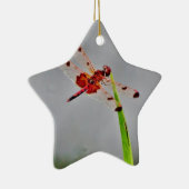 DSC00029.JPG KERAMISCH ORNAMENT (Rechts)