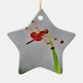 DSC00029.JPG KERAMISCH ORNAMENT (Voorkant)