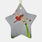 DSC00029.JPG KERAMISCH ORNAMENT (Links)