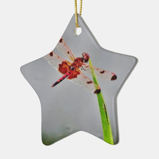 DSC00029.JPG KERAMISCH ORNAMENT (Links)