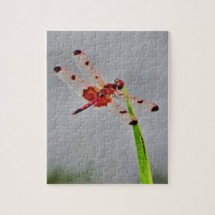 DSC00029.JPG LEGPUZZEL