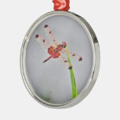 DSC00029.JPG METALEN ORNAMENT (Links)