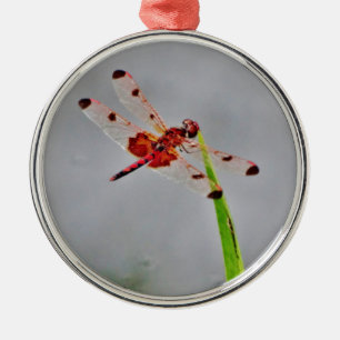 DSC00029.JPG METALEN ORNAMENT