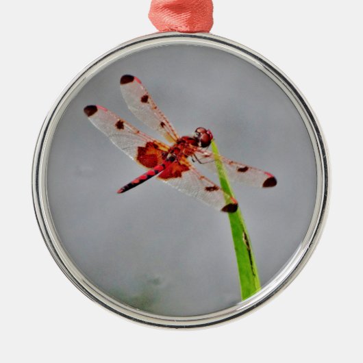 DSC00029.JPG METALEN ORNAMENT (Voorkant)