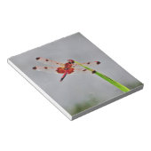 DSC00029.JPG NOTITIEBLOK (Schuin)