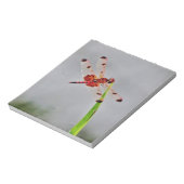 DSC00029.JPG NOTITIEBLOK (Linkerzijde)