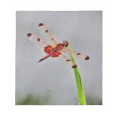 DSC00029.JPG NOTITIEBLOK (Voorkant)